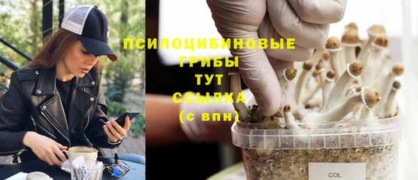 мет Абаза