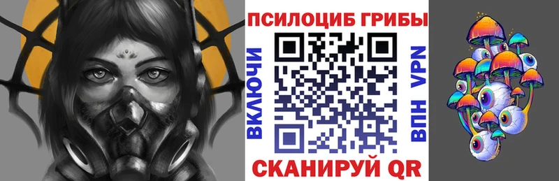 мега как зайти  Мамадыш  Псилоцибиновые грибы Magic Shrooms 