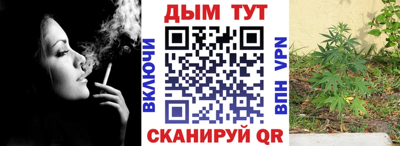 Шишки марихуана Amnesia  купить наркоту  Мамадыш 